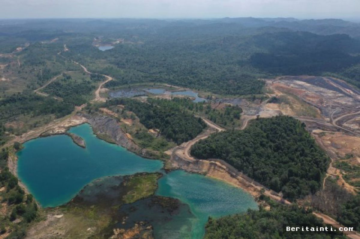 BRIN Kembangkan Model Agribisnis Terpadu di Lahan Bekas Tambang Kaltim