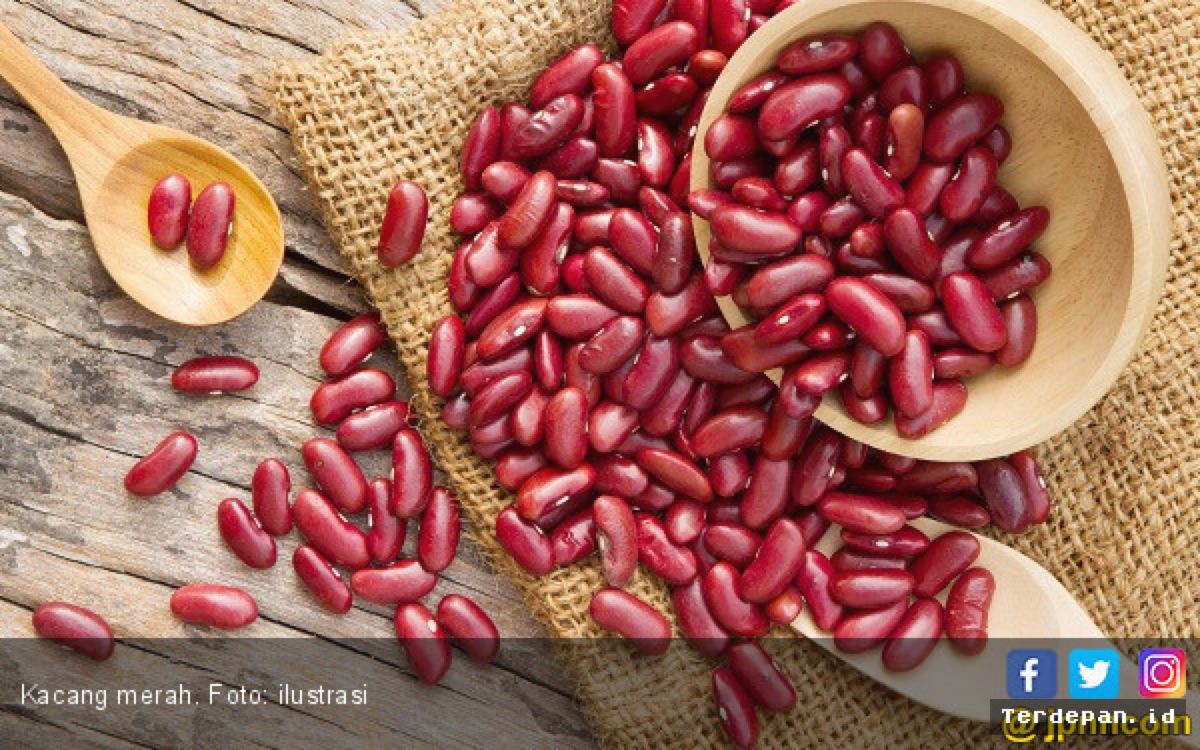 JAKARTA — Pakar Nutrisi Rekomendasikan Asupan Protein untuk Turunkan Berat Badan