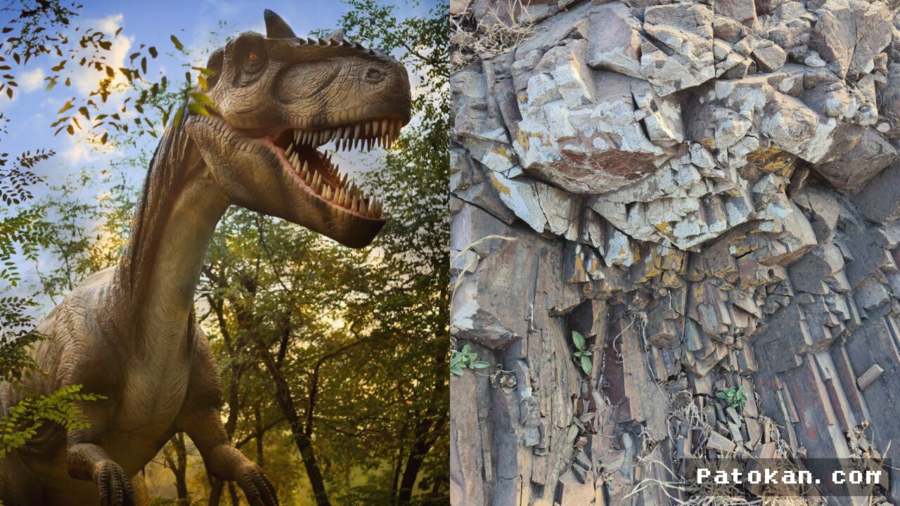 Peneliti Montana Temukan Fosil Bulu Dinosaurus Sempurna di Dalam Batu