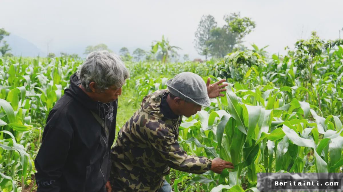 DPR Tegaskan Reforma Agraria Harus Mencakup Akses Permodalan dan Pasar