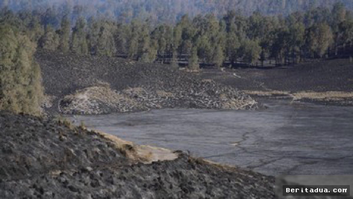 Savana Pengol Bromo Terbakar, Petugas Gabungan Berjibaku Padamkan Api