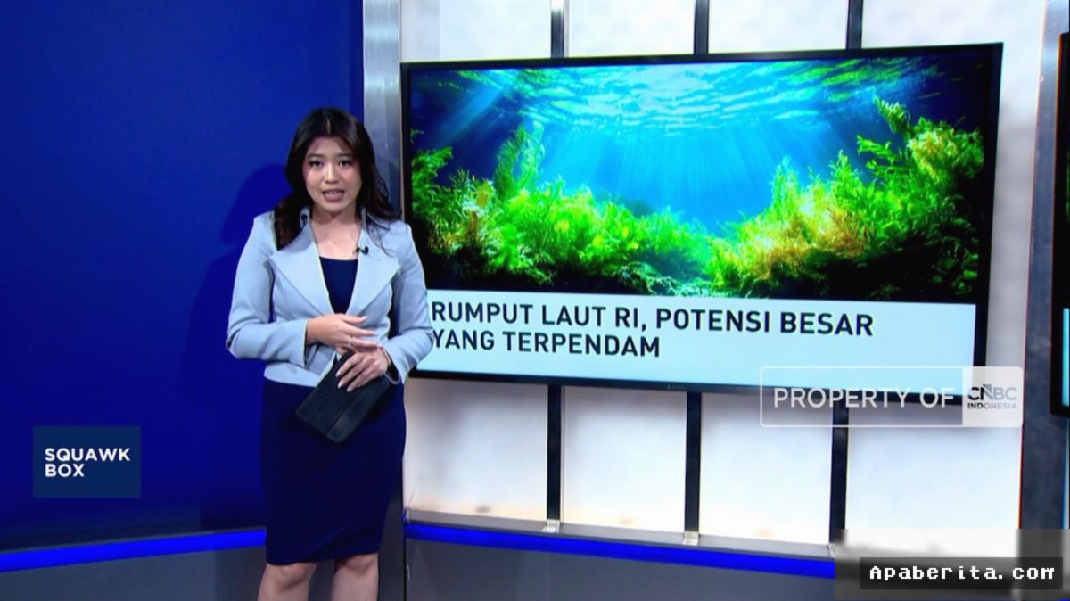 JAKARTA — Indonesia Pacu Hilirisasi Rumput Laut demi Kuasai Pasar Global