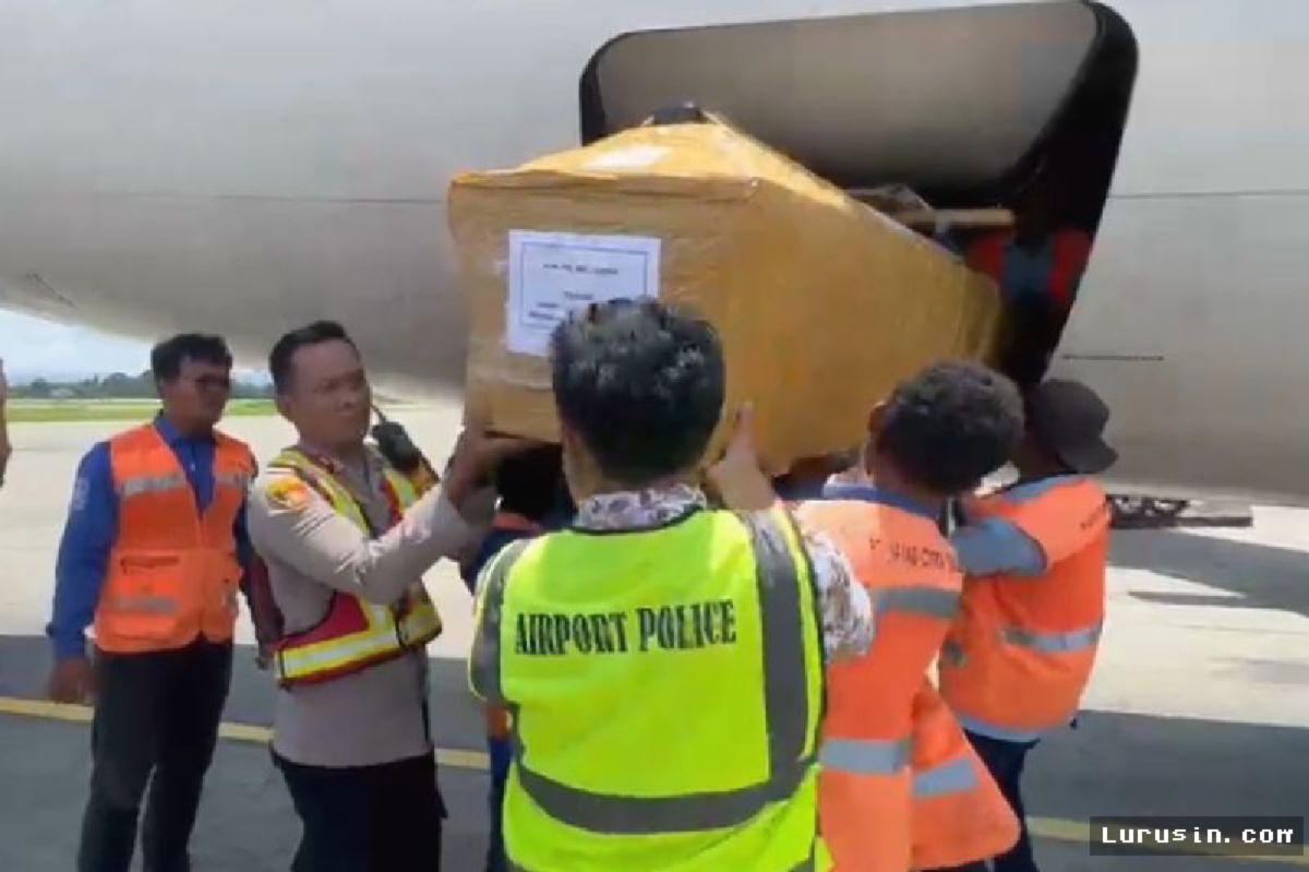 Jayawijaya — Jenazah ASN Korban Penembakan KKB Diterbangkan ke Kupang