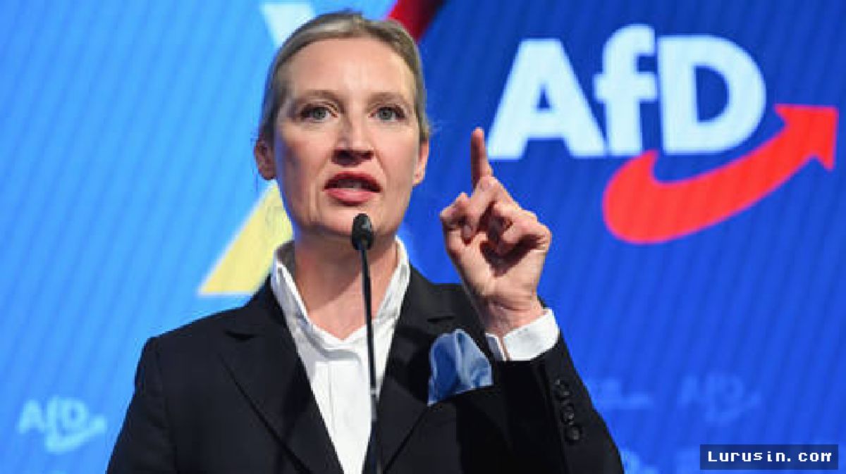AfD Desak Jerman Pulangkan Pengungsi Pria Asal Ukraina