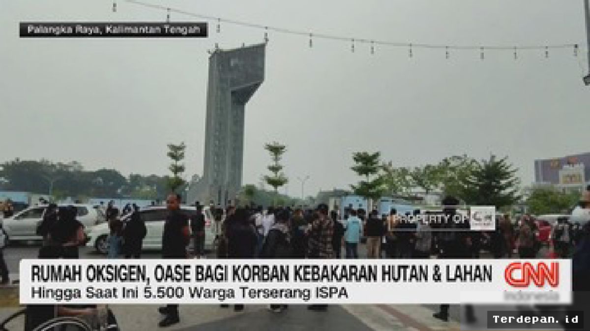 Kalimantan — Kebakaran Hutan Mengancam Pemukiman Warga dan Habitat Orang Utan