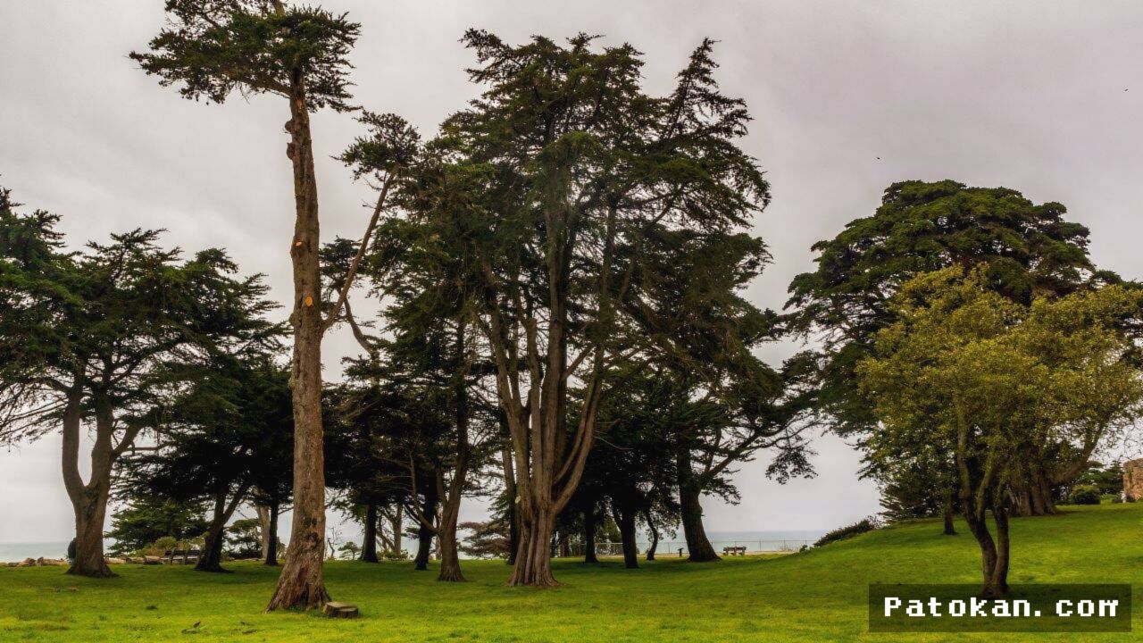 SAN FRANCISCO — Kediaman Adolph Sutro Resmi Menjadi Taman Publik Abadi
