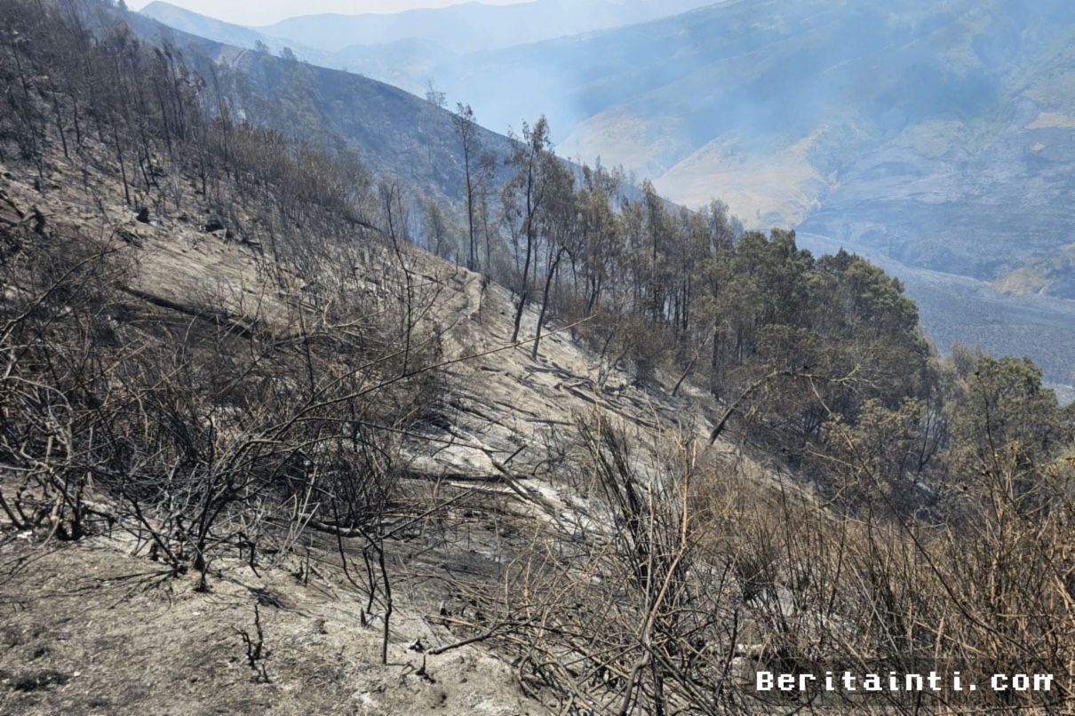 BPBD Jatim Hentikan Water Bombing Karhutla Bromo Akibat Angin Kencang