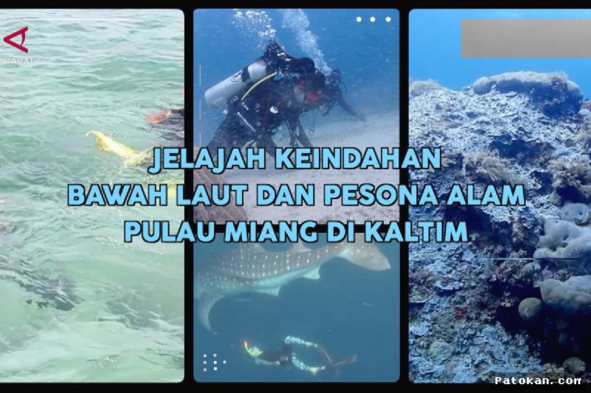 Pulau Miang Kaltim Tawarkan Pesona Wisata Bawah Laut Memukau