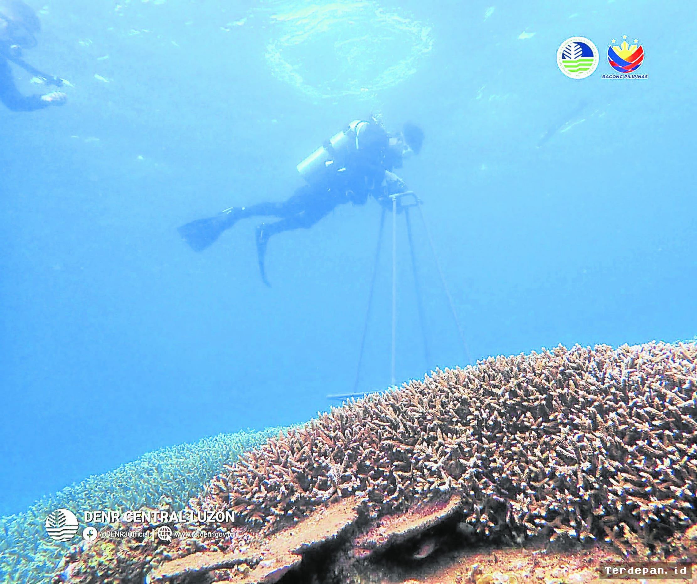 Zambales Perluas Jaringan Kawasan Konservasi Laut Lewat Dua Suaka Baru