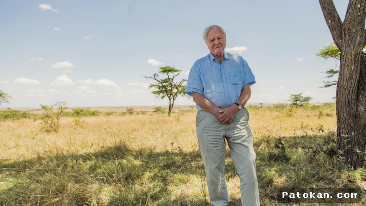 Attenborough Peringatkan Krisis Ekologi dan Hubungan Manusia dengan Alam