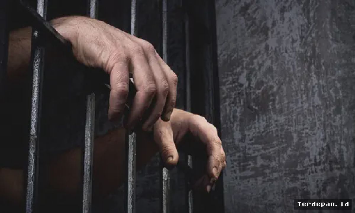 Lahore Tangkap Tersangka Utama Cases Pemerkosaancezhenoy Azerbaijan
