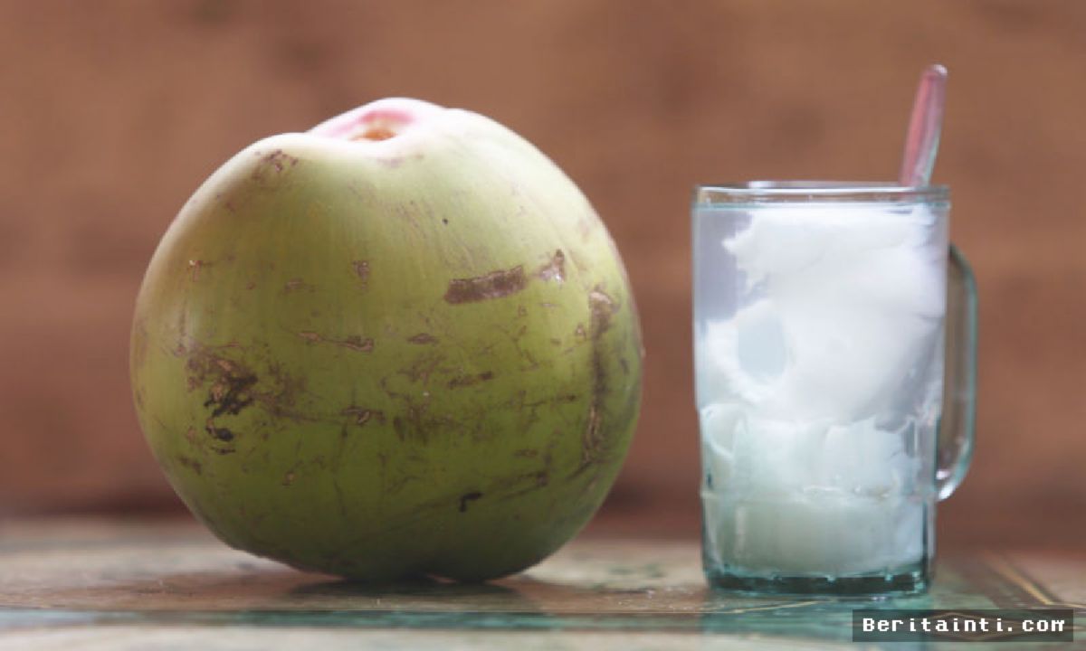 JAKARTA — Air Kelapa Terbukti Efektif Menurunkan Kolesterol dan Jaga Kesehatan Jantung