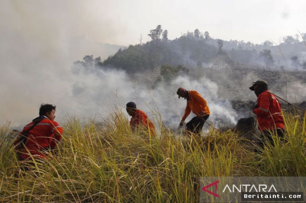 Tim Gabungan Berjibaku Padamkan Kebakaran Sabana Gunung Bromo