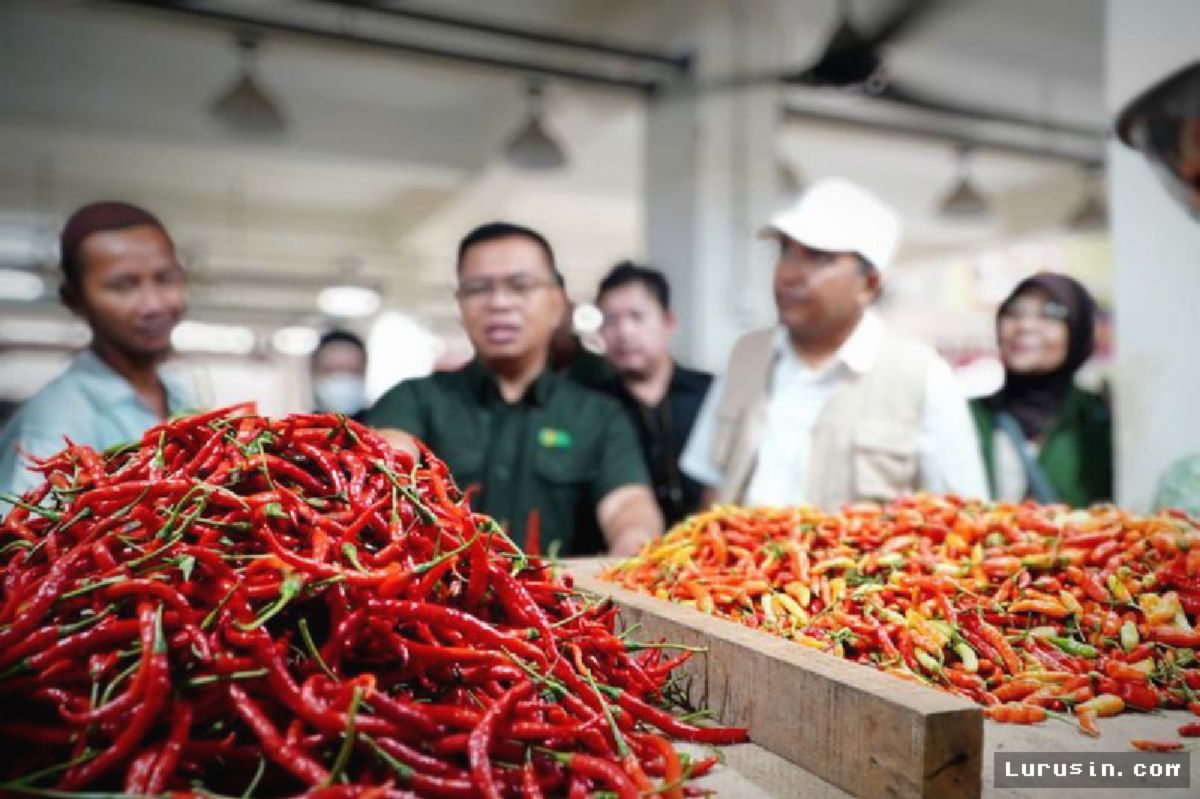 Bapanas dan Kementan Intervensi Distribusi Cabai Stabilkan Harga Pasar