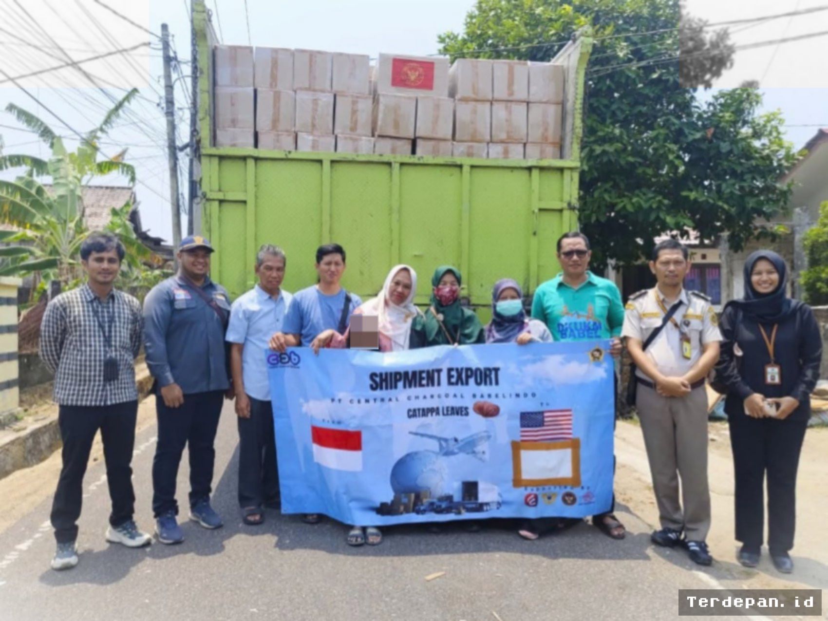 Daun Ketapang Bangka Tembus Pasar Amerika dan Jerman