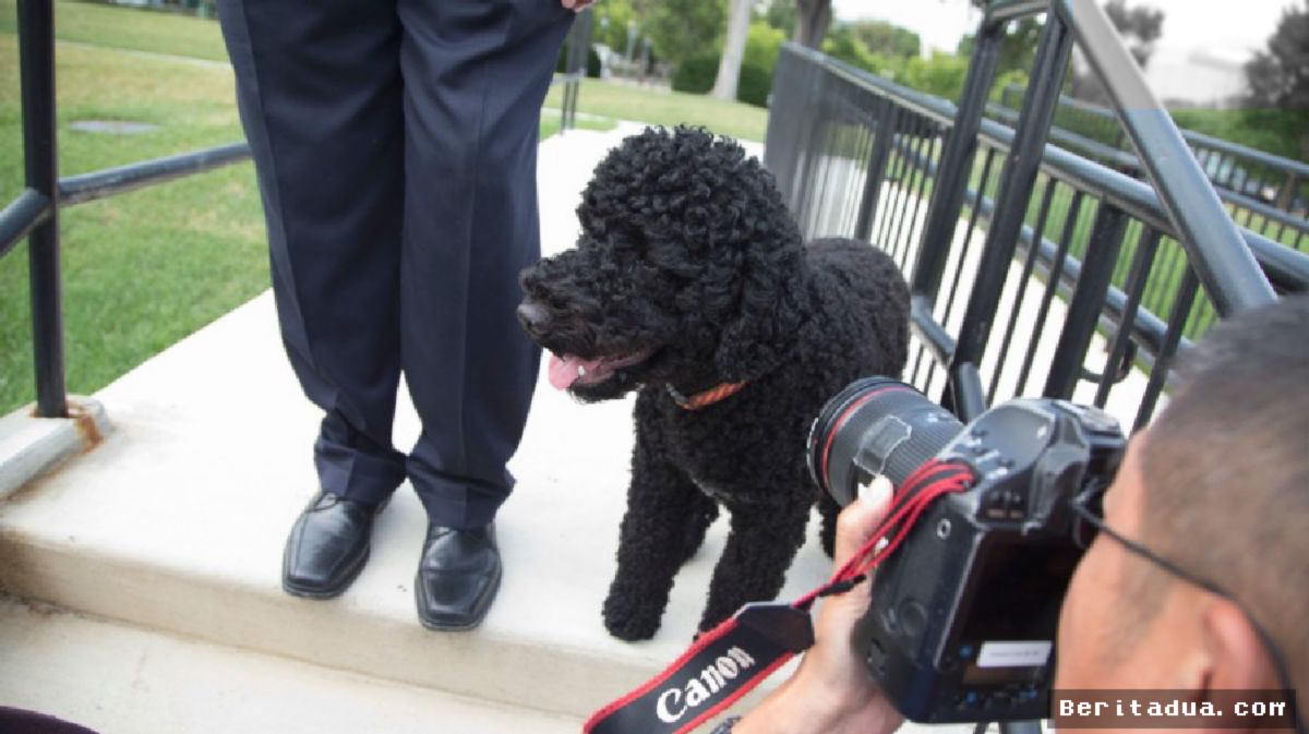 WASHINGTON — Barack Obama Berduka Atas Kepergian Anjing Kesayangan Sunny