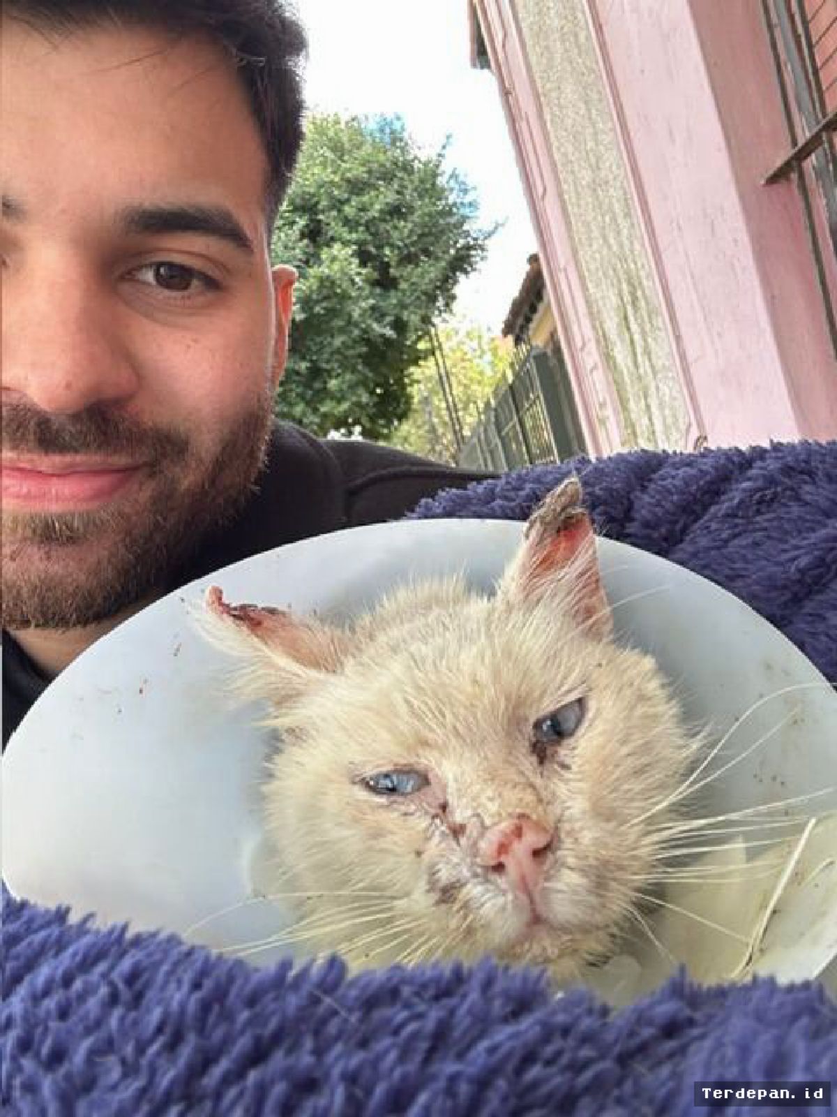 Pria Argentina Selamatkan Kucing Kritis yang Nyaris Dieutanasia Tim Medis