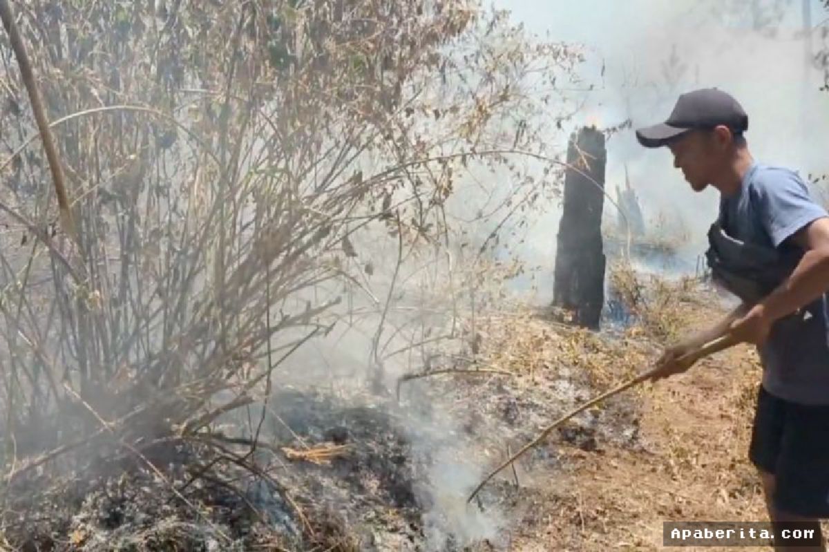 MAGETAN — Petugas Gabungan Buat Sekat Bakar Isolasi Karhutla Gunung Lawu