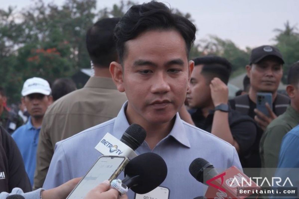 KALIMANTAN — Wapres Gibran Tinjau Orang Utan Terdampak Asap Karhutla