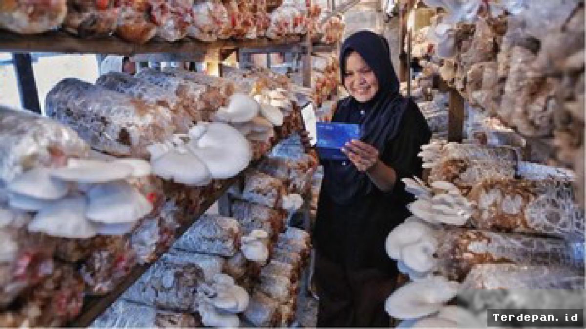 BRI Catat Indeks Bisnis UMKM Kuartal II 2026 Capai Angka 102,1