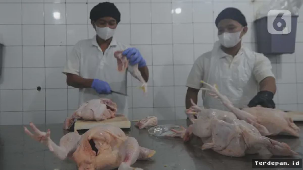 BPJPH Wajibkan Sertifikasi Halal Penjualan Ayam Potong dan Jasa Sembelihan
