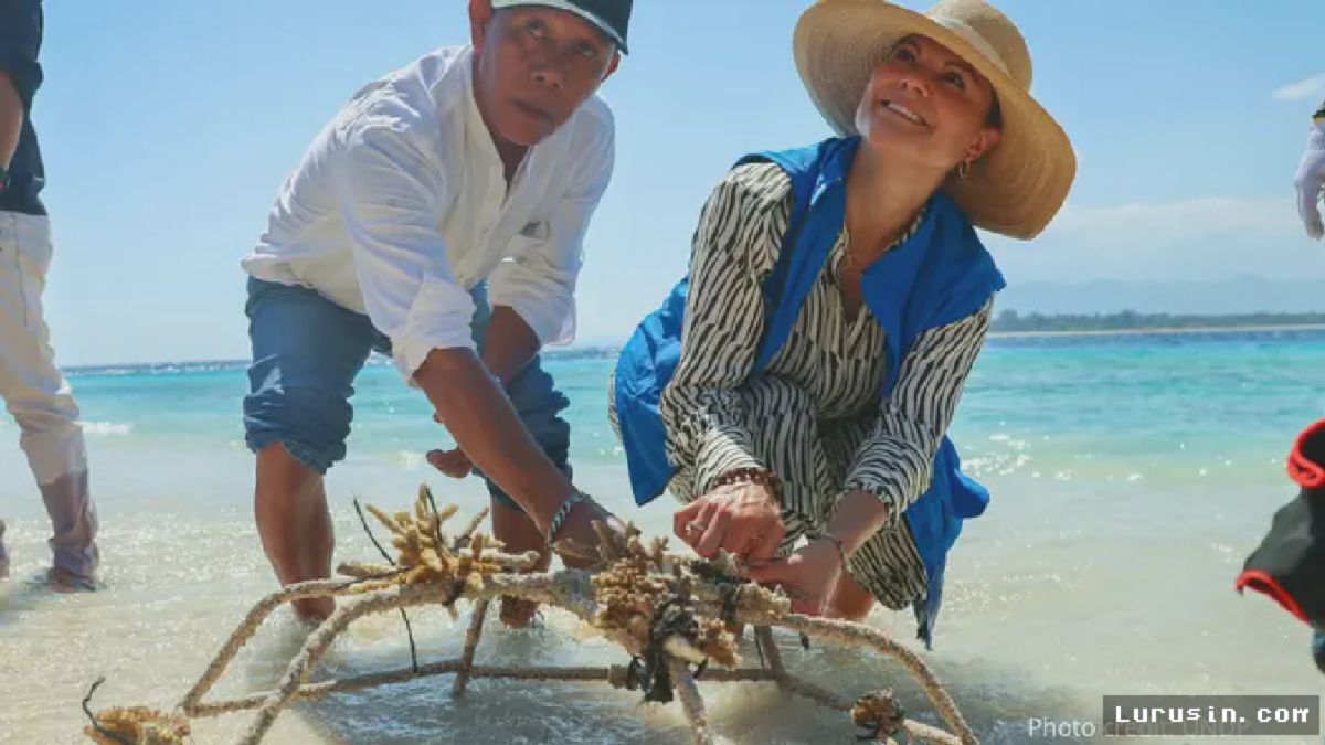 Putri Mahkota Victoria Tanam Terumbu Karang di Gili Meno