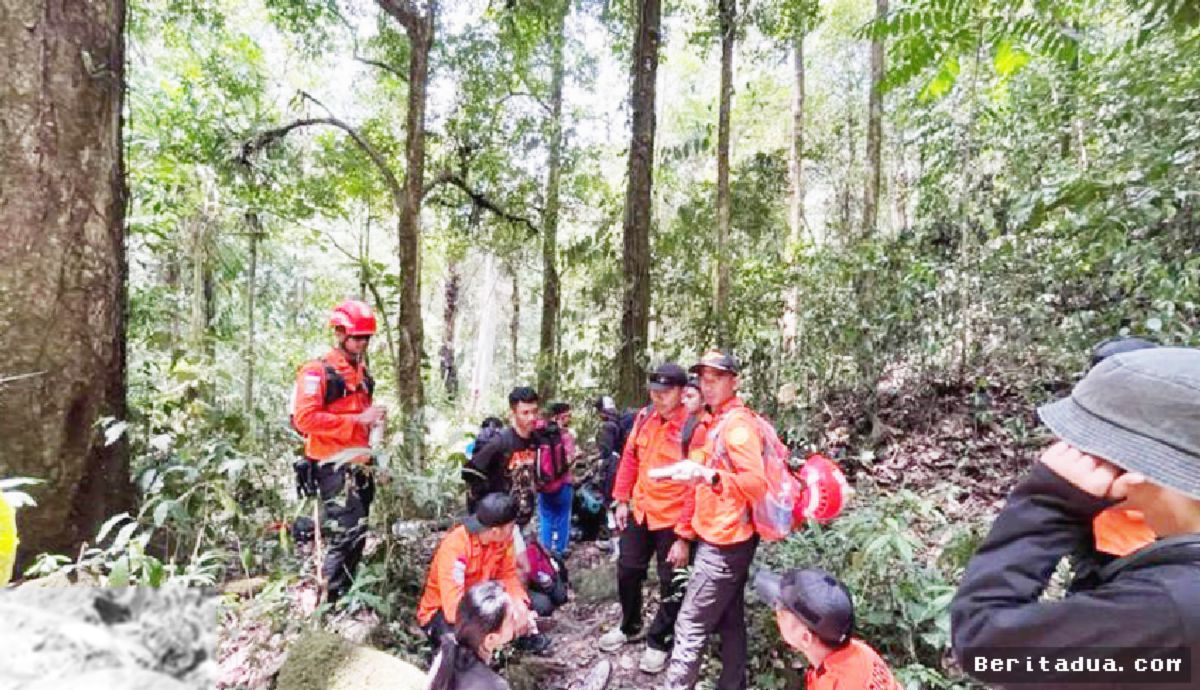 Tim SAR Palu Berhasil Evakuasi Tujuh Pendaki Gunung Nokolalaki