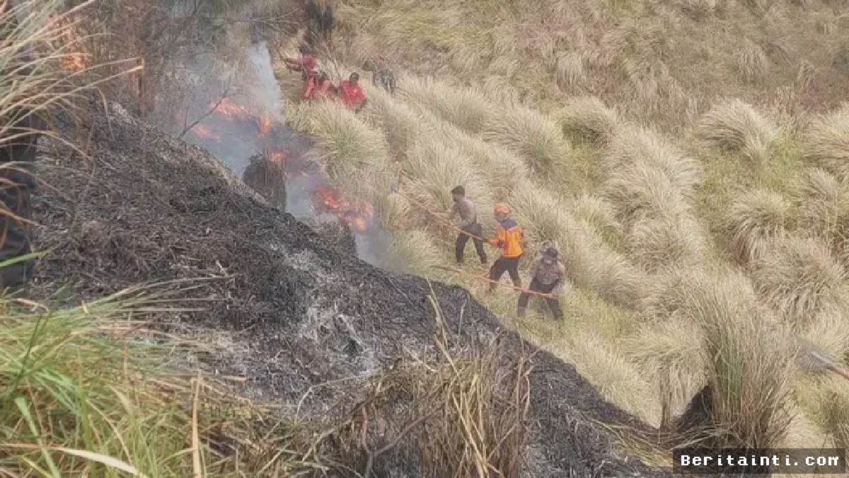 BROMO — Wisata Gunung Bromo Ditutup Akibat Asap dan Angin Kencang
