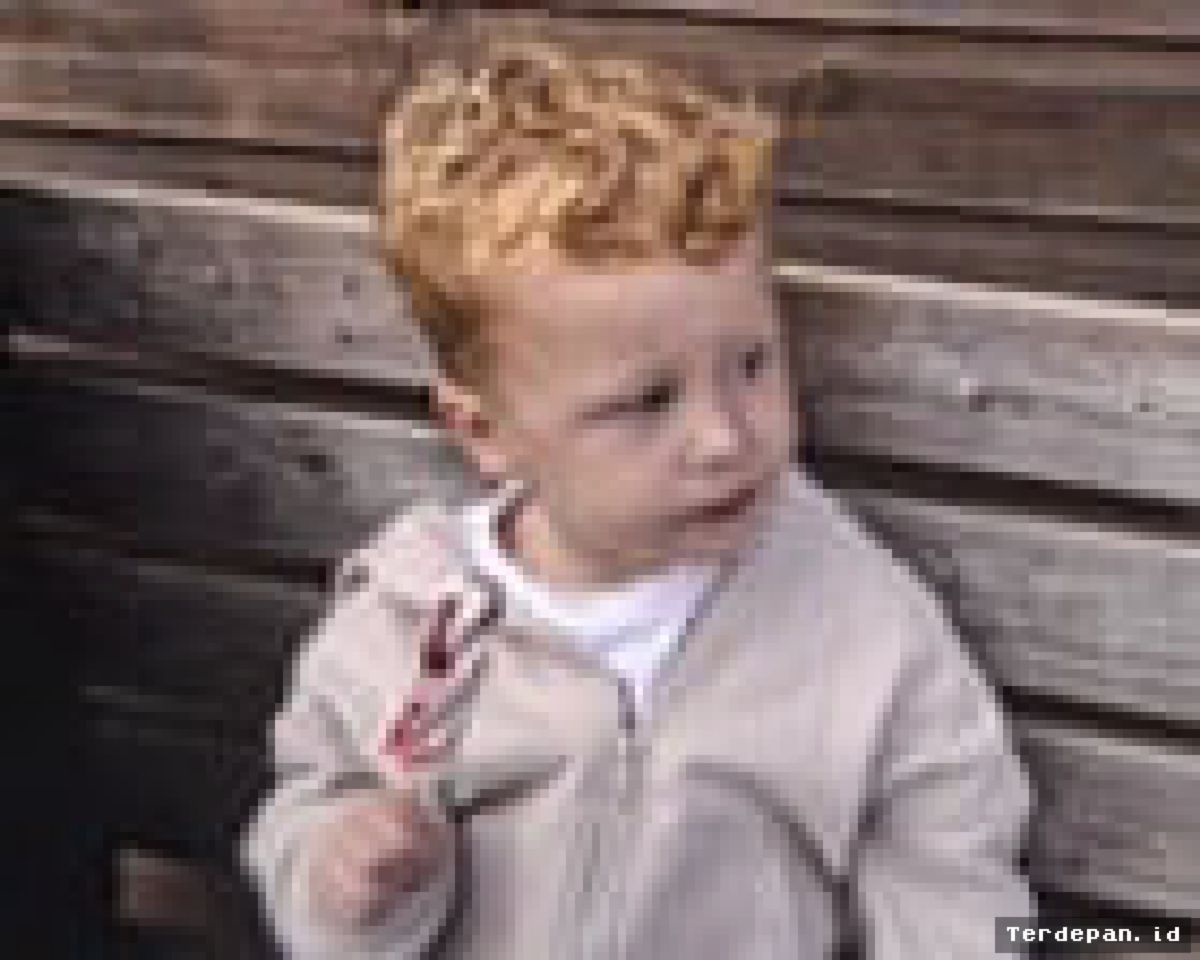 Polisi Suffolk Gelar Pencarian Masif Balita Noah Woods