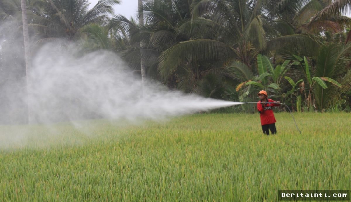 Badung Tangani Krisis Air Enam Subak di Kecamatan Petang
