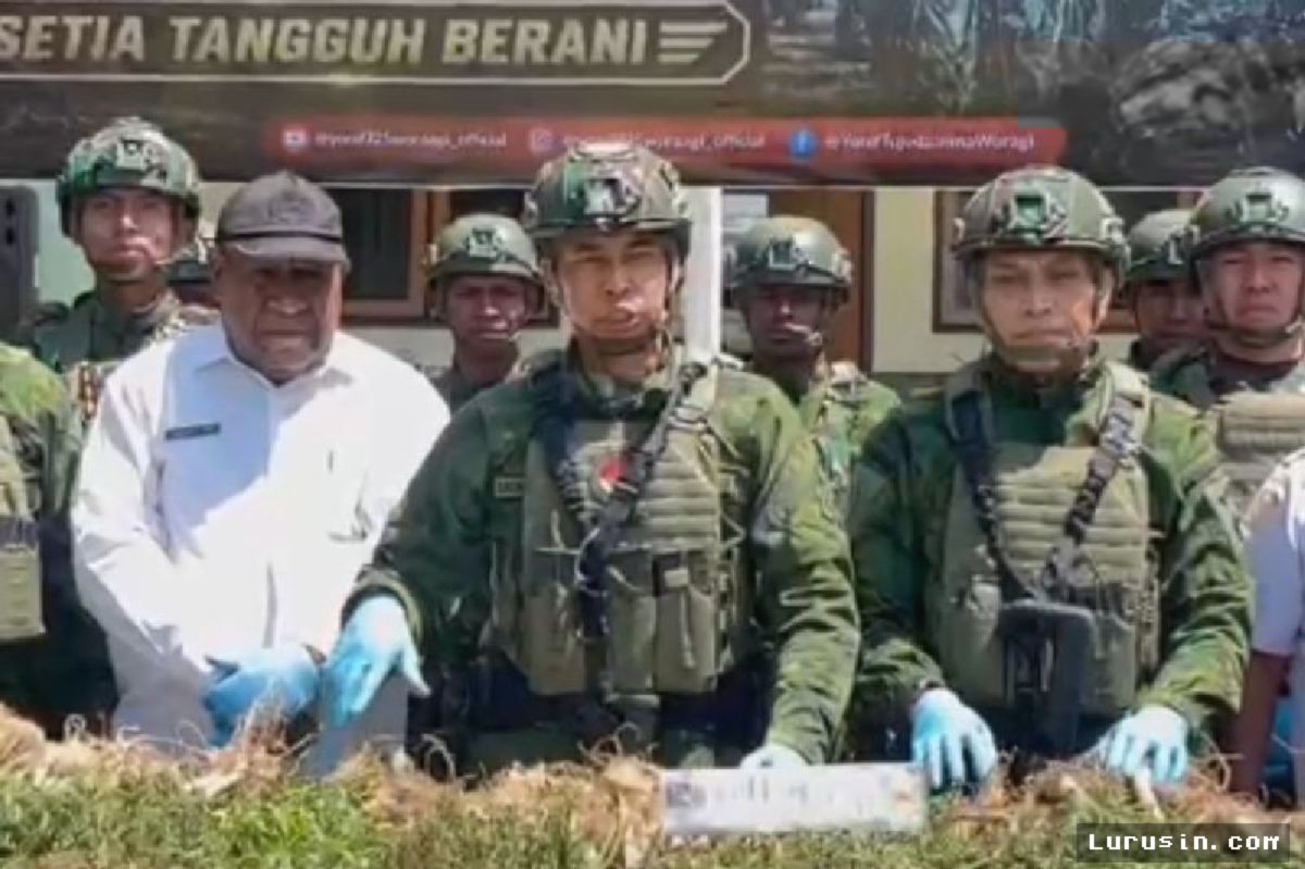 PAPUA — TNI Temukan Ladang Ganja KKB di Distrik Kurima
