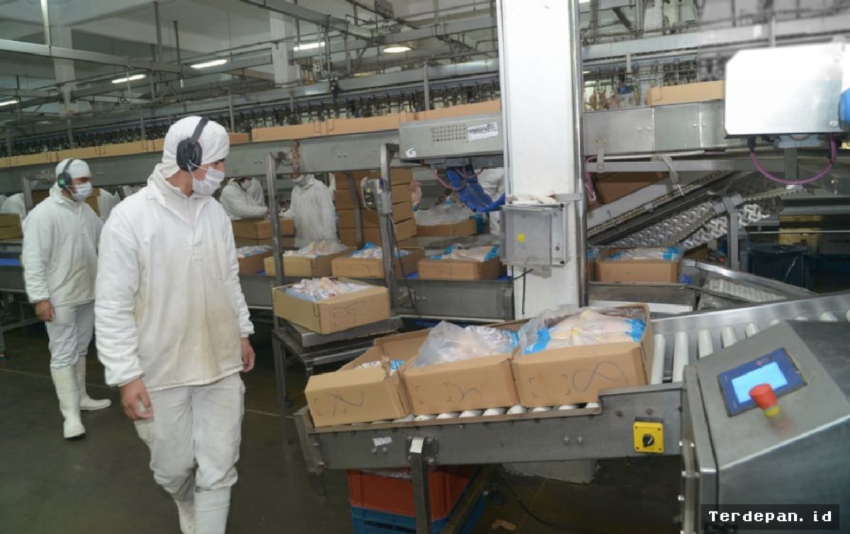 ARGENTINA — Jepang Buka Kembali Keran Impor Produk Unggas dan Telur