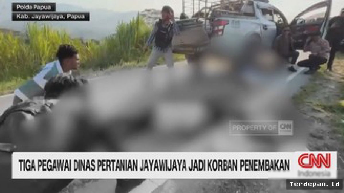 JAYAWIJAYA — Tiga Pegawai Dinas Pertanian Menjadi Korban Penembakan KKB