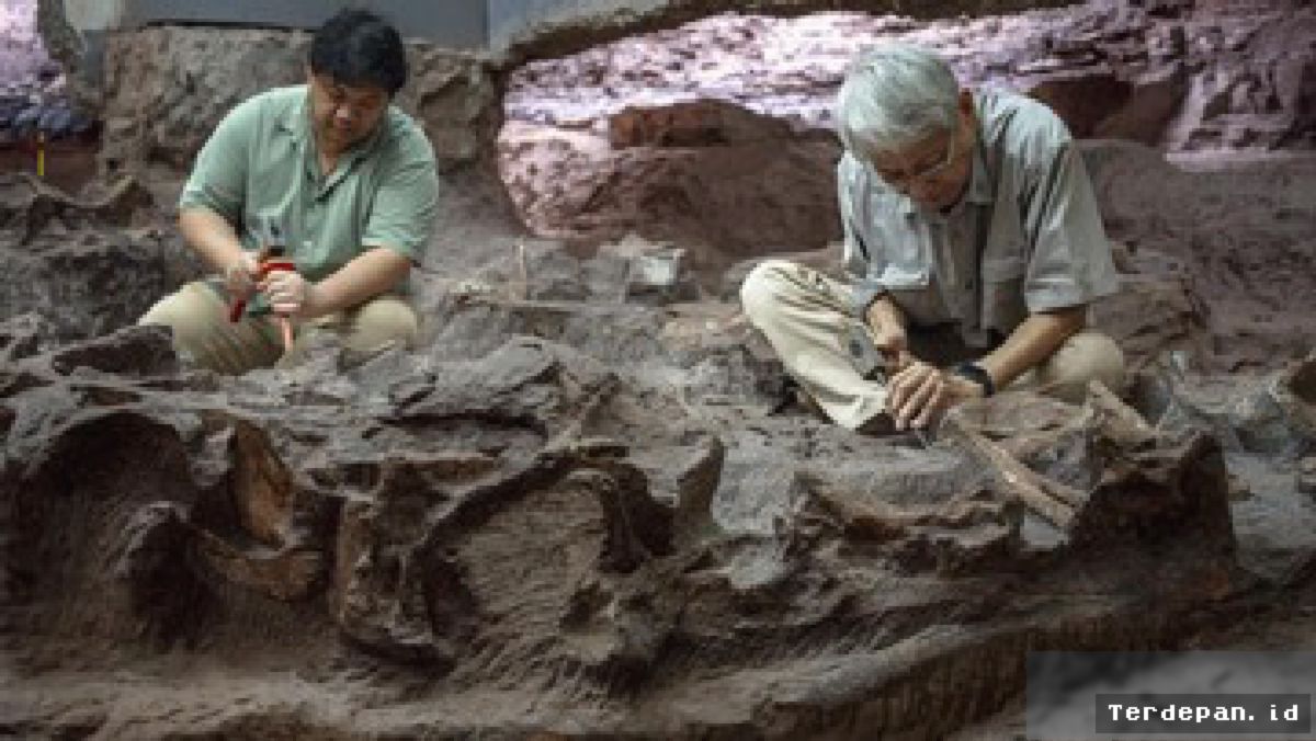 THAILAND — Peneliti Gali Penemuan Fosil Dinosaurus Raksasa di Timur Laut