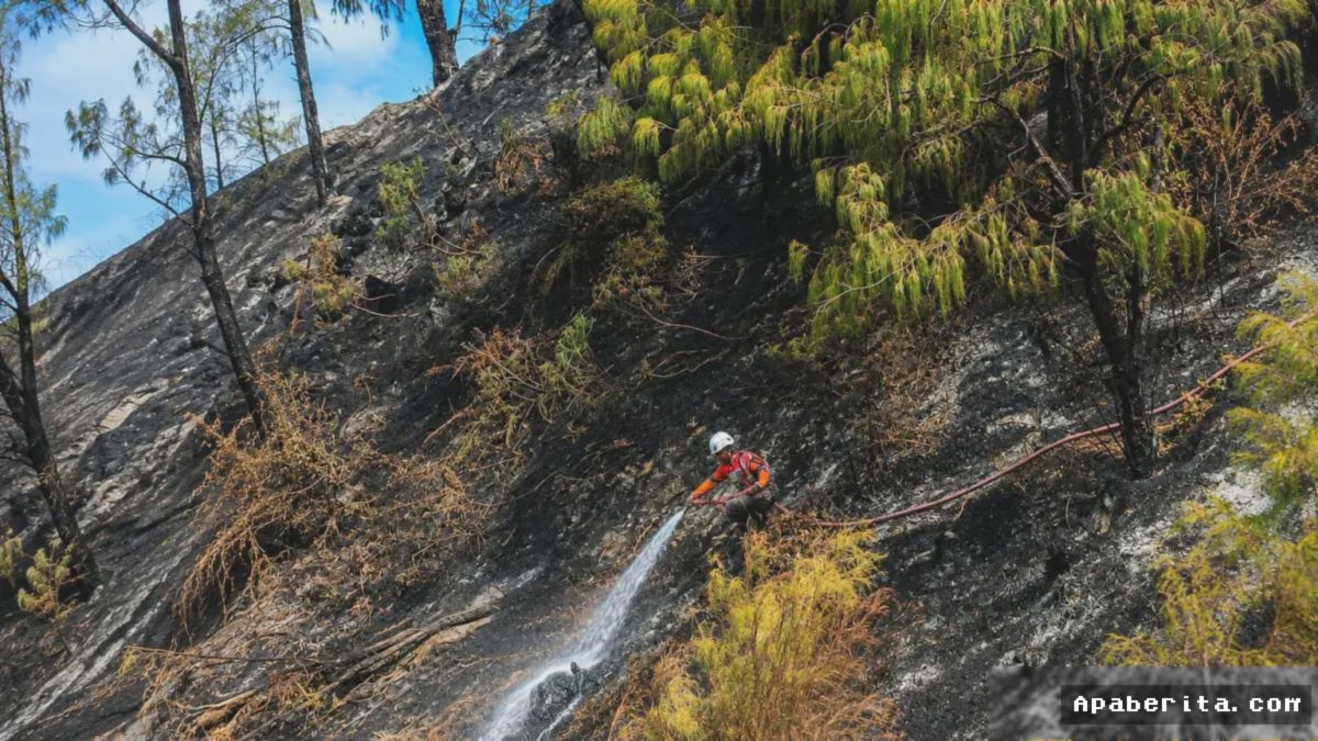 NGANJUK — Kebakaran Gunung Wilis Picu Kemunculan 46 Titik Panas