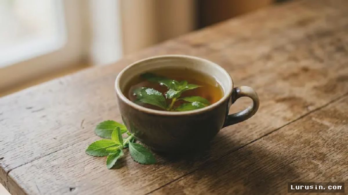 Tren Pemanis Alami Daun Stevia Menguat Gantikan Konsumsi Gula Tebu