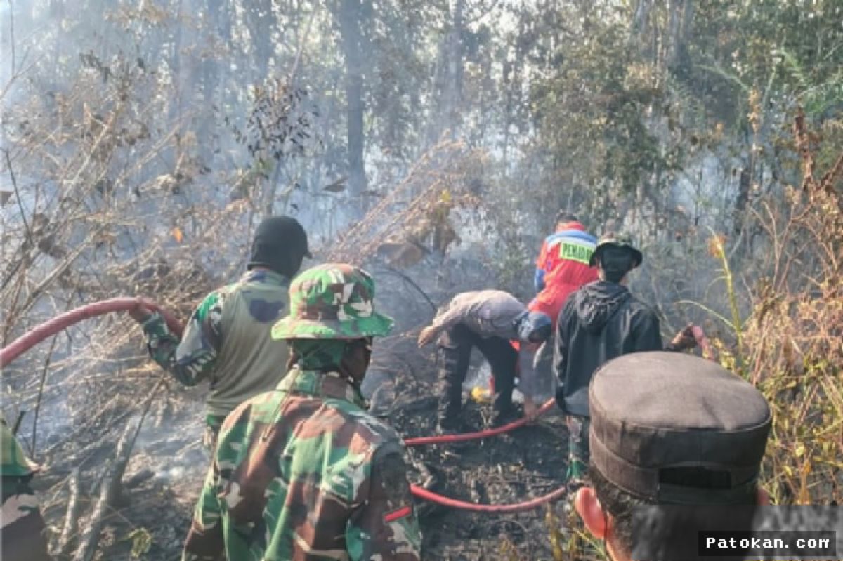 TNI Perkuat Penanganan Bencana dan Karhutla Tuai Apresiasi Publik