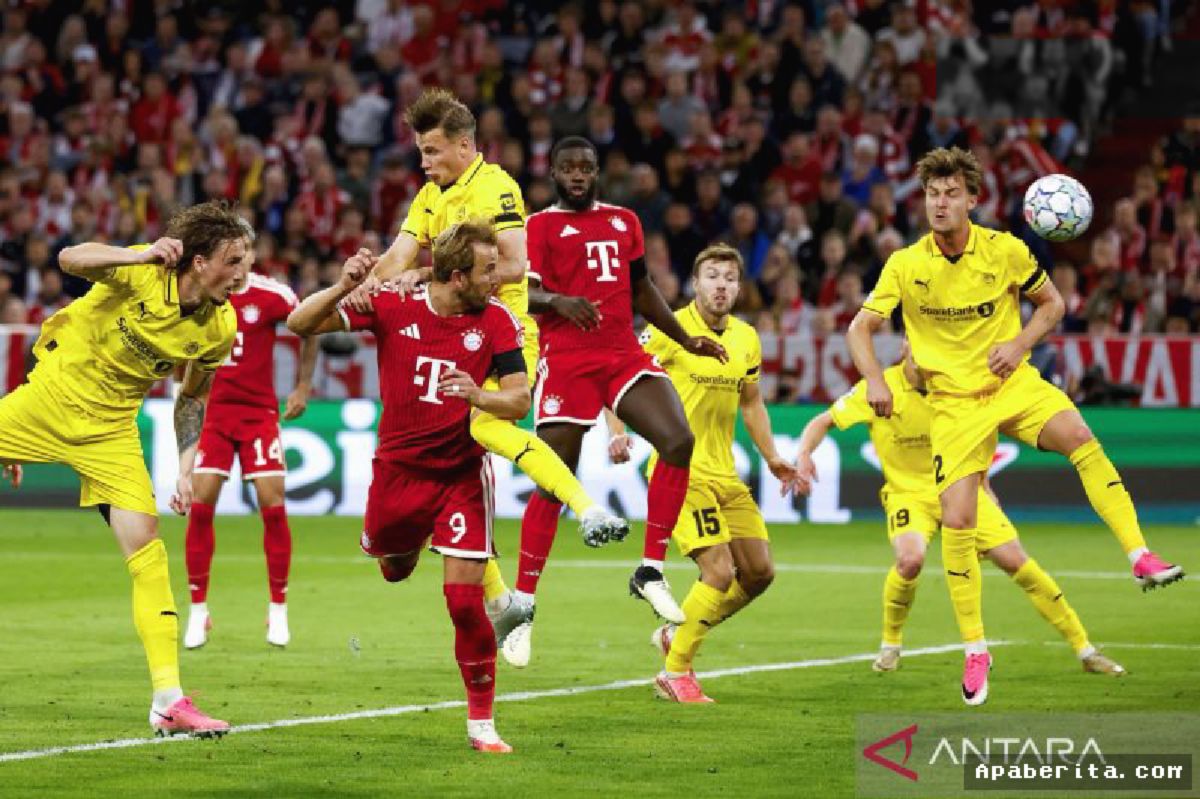 UEFA Resmi Tetapkan Stadion Host Final Liga Champions Mendatang