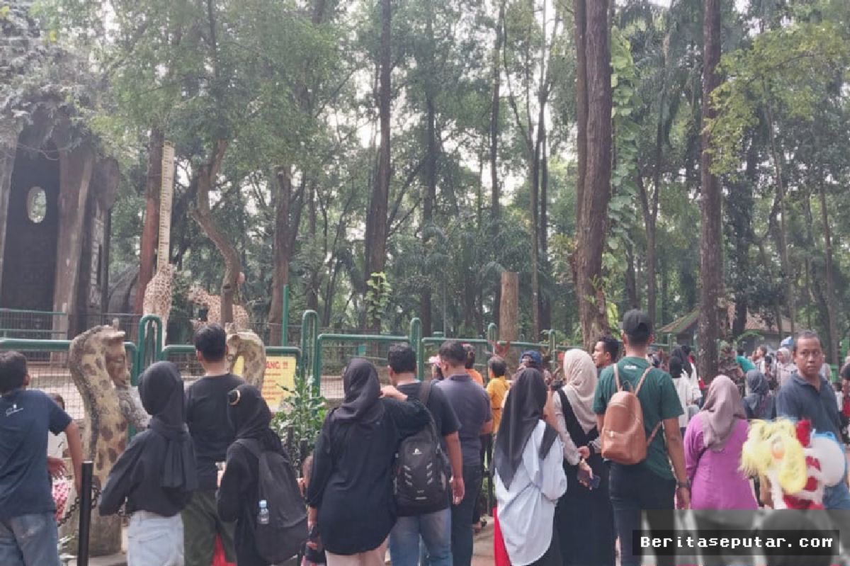 Pramono Anung Nilai Usulan Kenaikan Tiket Ragunan Rp10.000 Sangat Logis