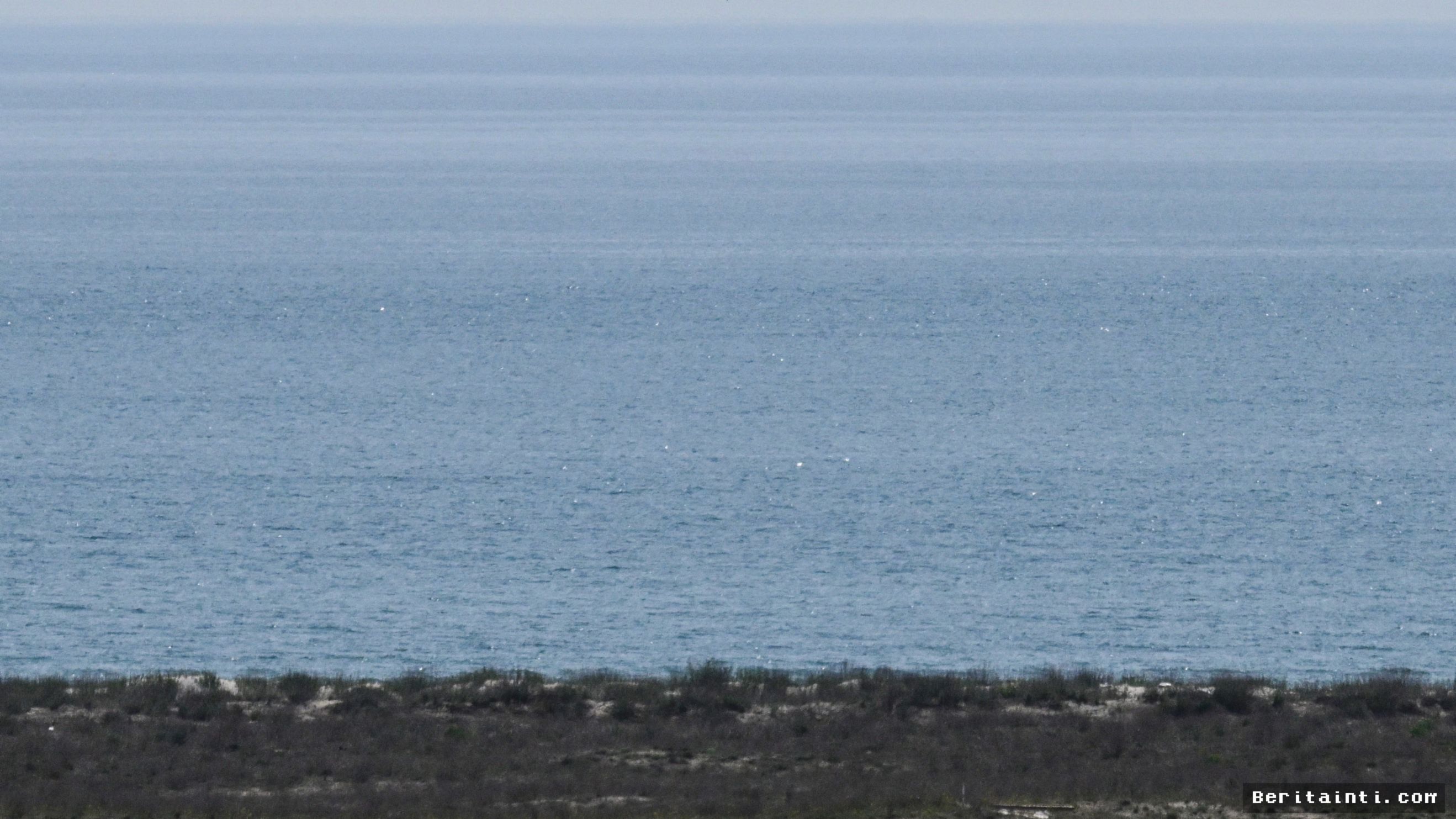 Drone Laut Ukraina Tembak Tenggelam Wahana Militer Rusia di Laut Hitam