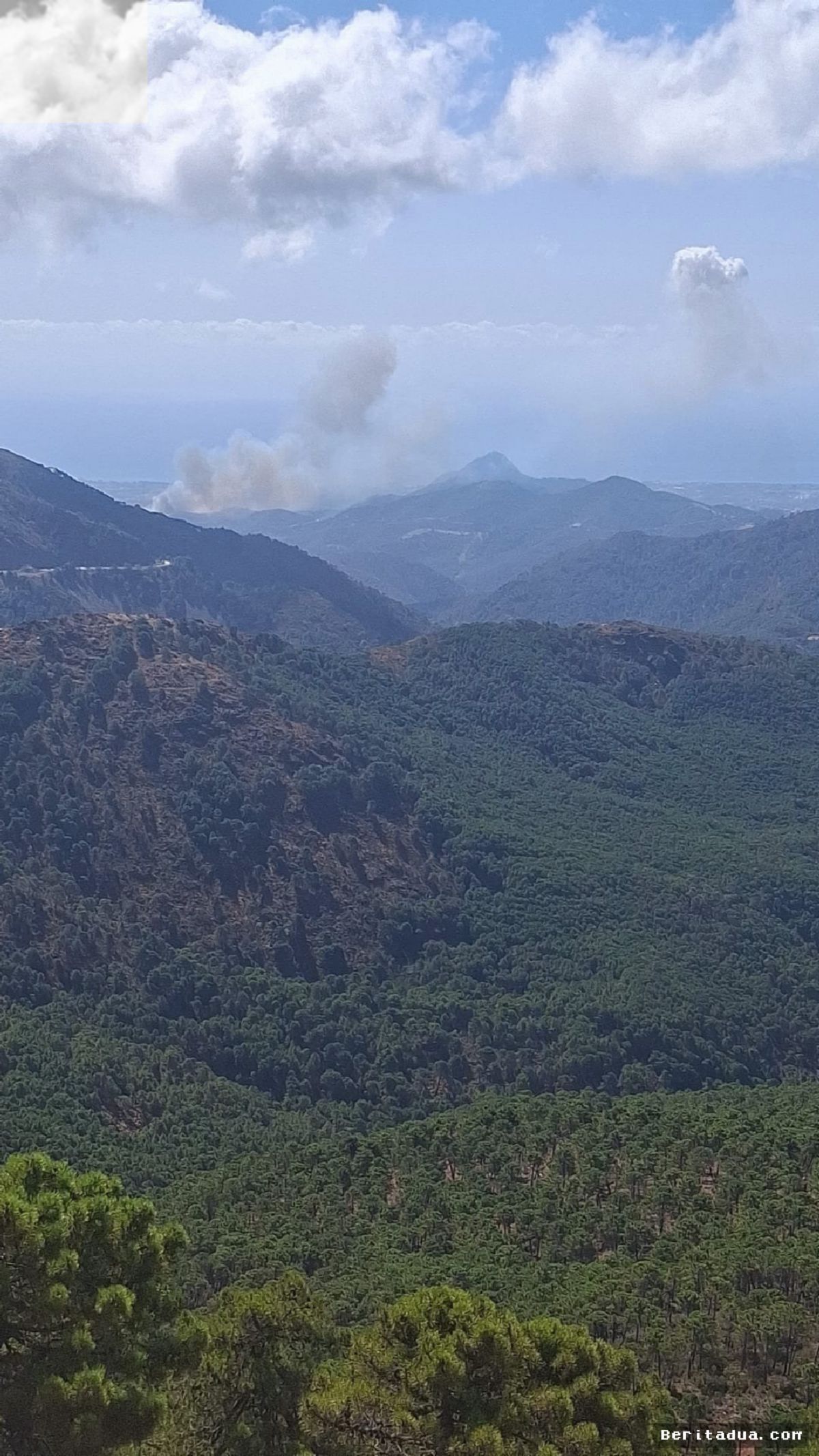 Málaga — Kebakaran Hutan Meluas, Petugas dan Warga Terluka