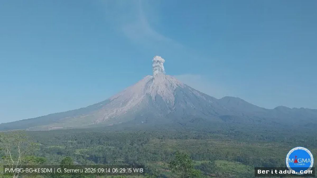 Gunung Semeru Kembali Erupsi, Kolom Abu Membubung di Lumajang