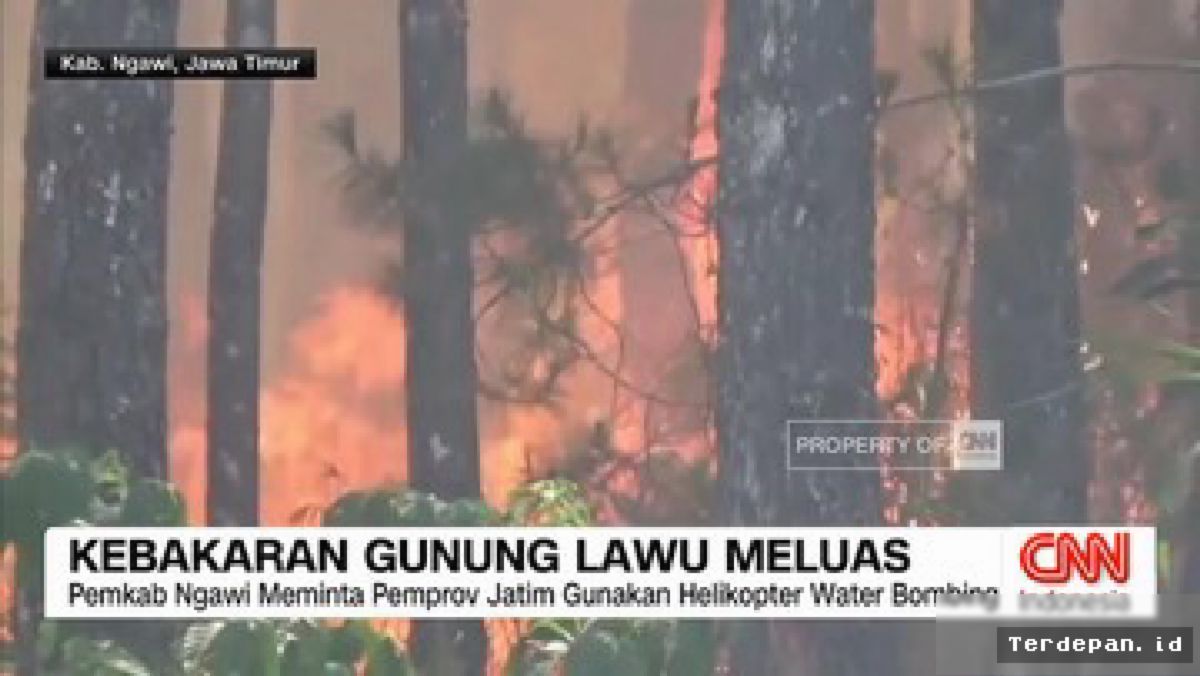 NGAWI — Kebakaran Hutan Gunung Lawu Meluas ke Jawa Timur