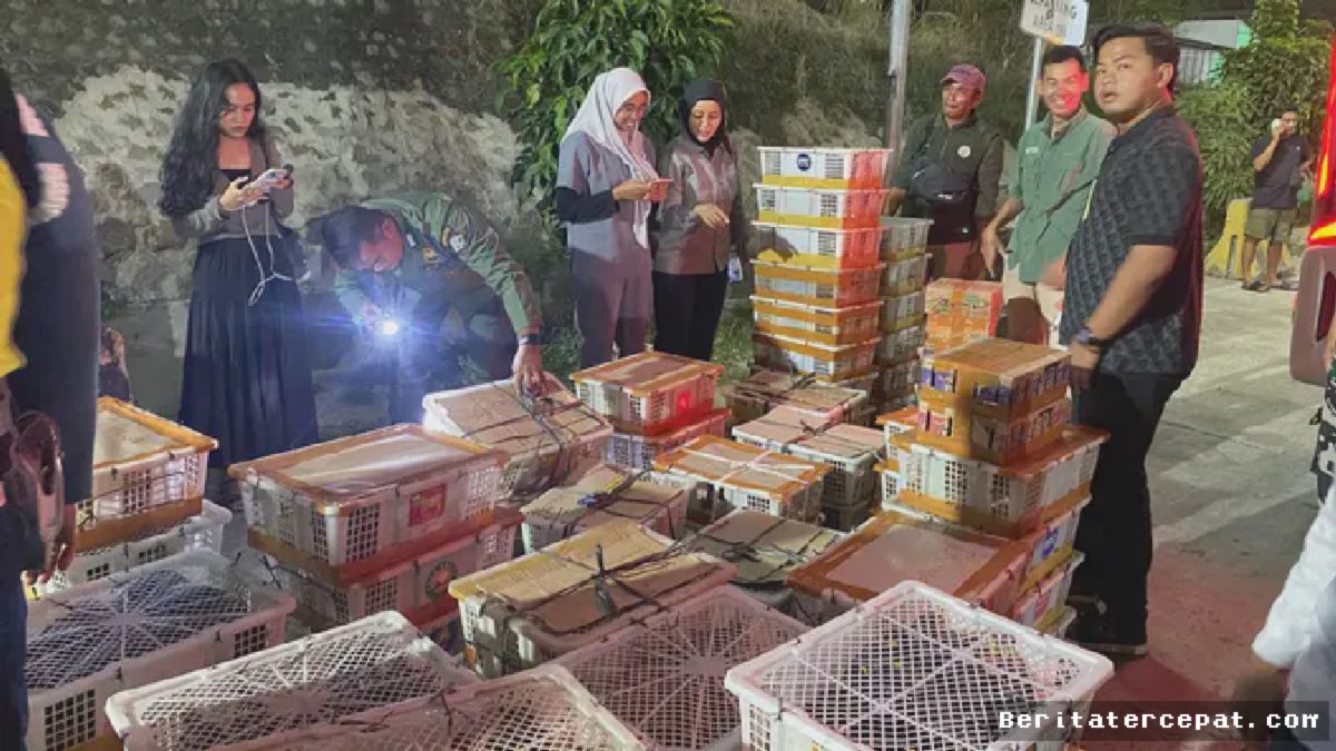 Beksitee Bakauheni Ungkap 2.775 Burung Liar di Bagasi Bus