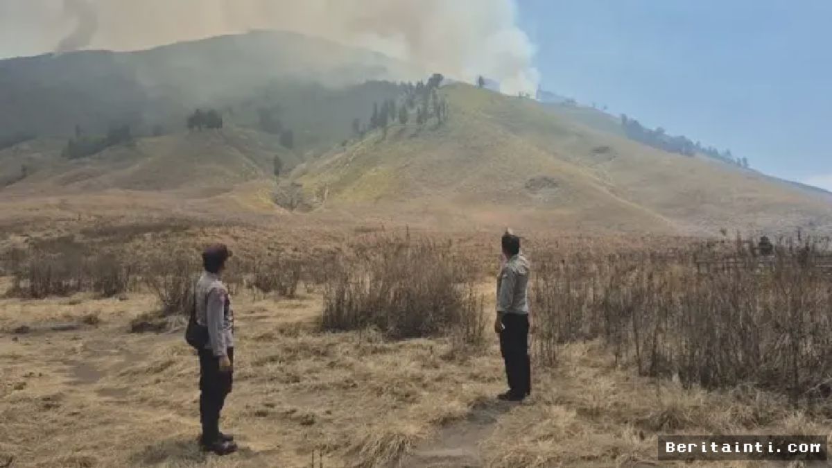 Bromo — Kebakaran Hutan Meluas Hingga Wilayah Jemplang Malang