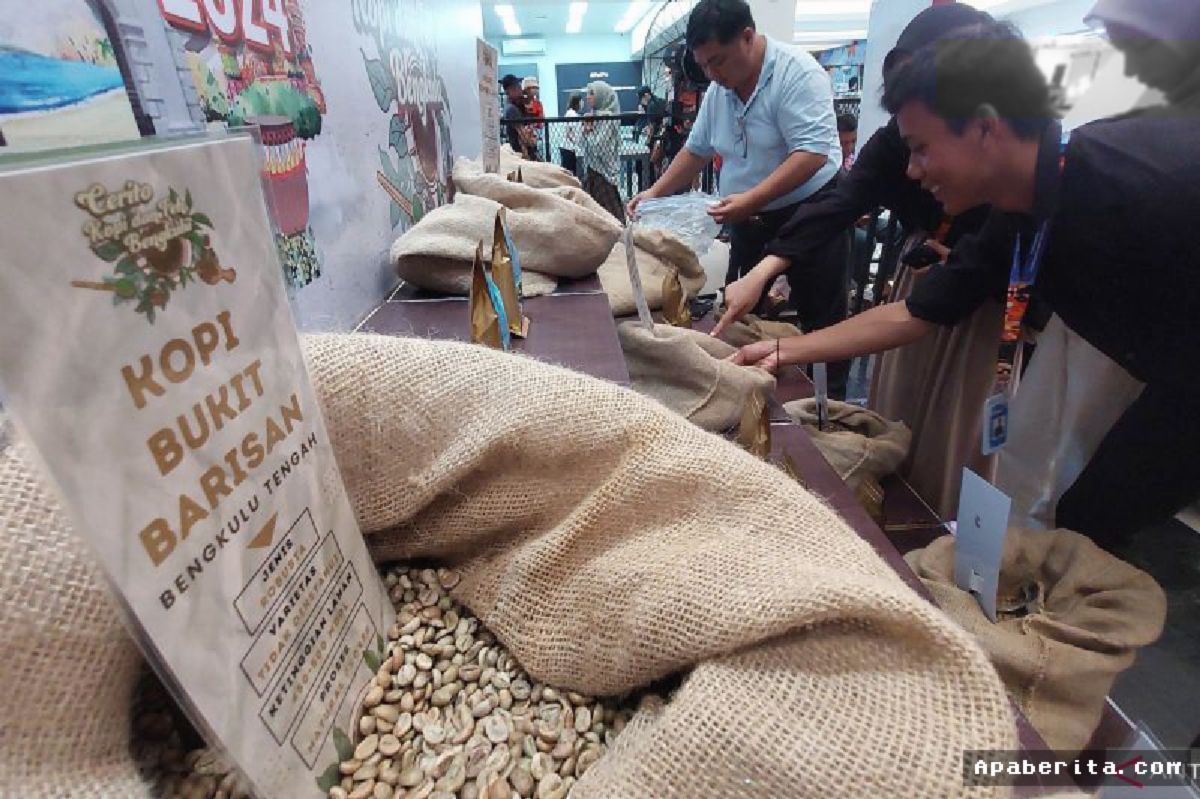 Bengkulu — UMKM Kopi Bengkulu Berjuang Tembus Pasar Ekspor Global