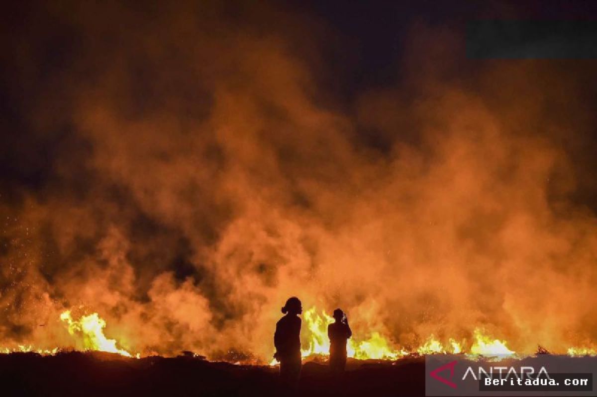 JAMBI — 298 Titik Panas Terdeteksi, Lahan di Kerinci Membara