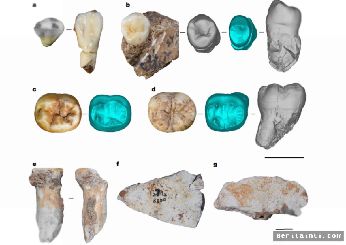 Fosil Berusia 167.000 Tahun di China Ungkap Sebaran Manusia Purba Denisovan