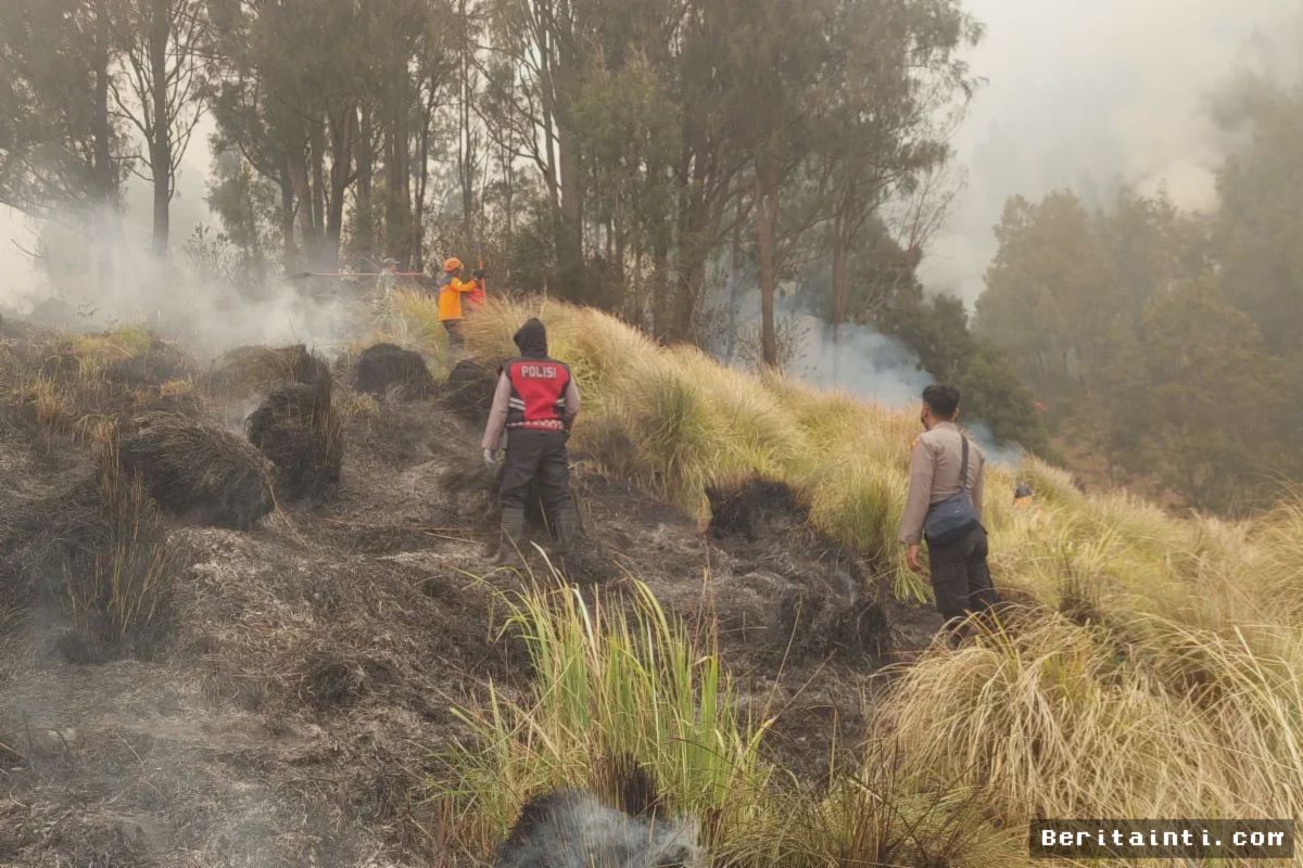 Kemenhut Bentuk Tim Khusus Usut Kebakaran Hutan Gunung Bromo