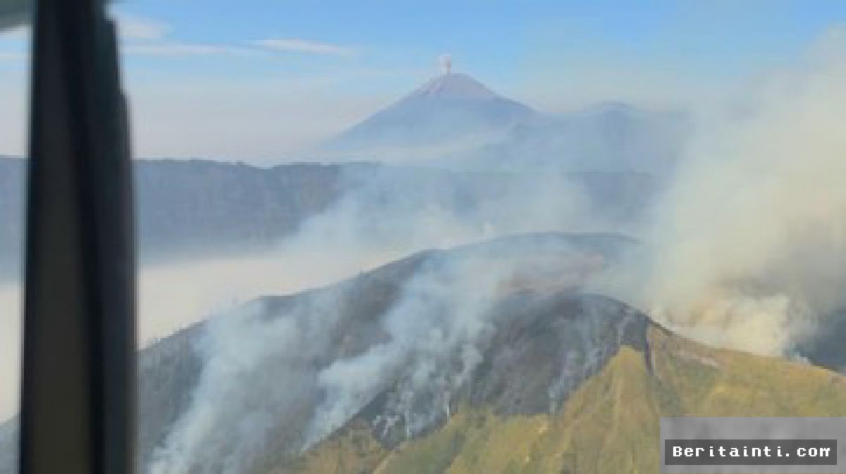 BPBD Jatim Catat 14 Gunung Terbakar Selama Kemarau 2026